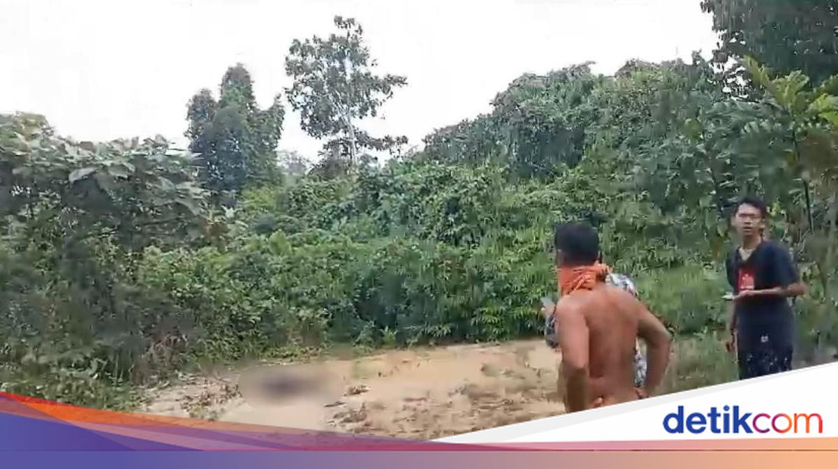 Indo Bokep 6 bukti Pria di Jambi Bunuh Istri: Tusuk Kemaluan-Bikin Skenario Perkosa