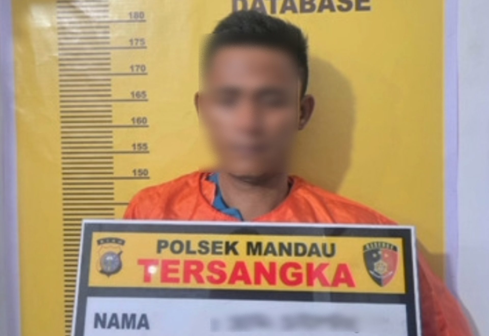 Indo Bokep Tak Jera Pernah Dibui, ‘Spesialis Grepe’ Kemaluan Anak di Duri kembali Diciduk Polisi