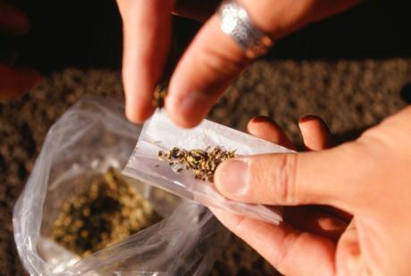 Indo Bokep Gara-gara Ganja, Biji Kemaluan Jadi Gampang Kena Kanker