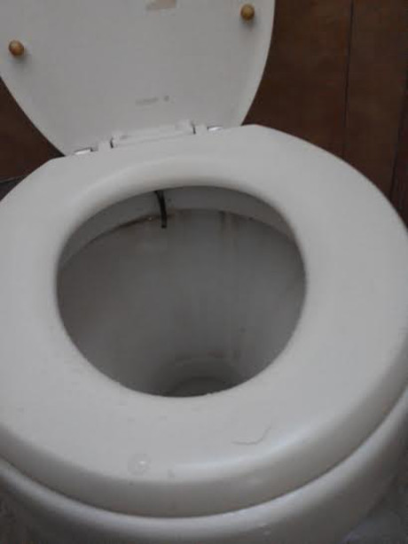 Indo Bokep Bulu Kemaluan pun Nangkring di Dudukan Toilet
